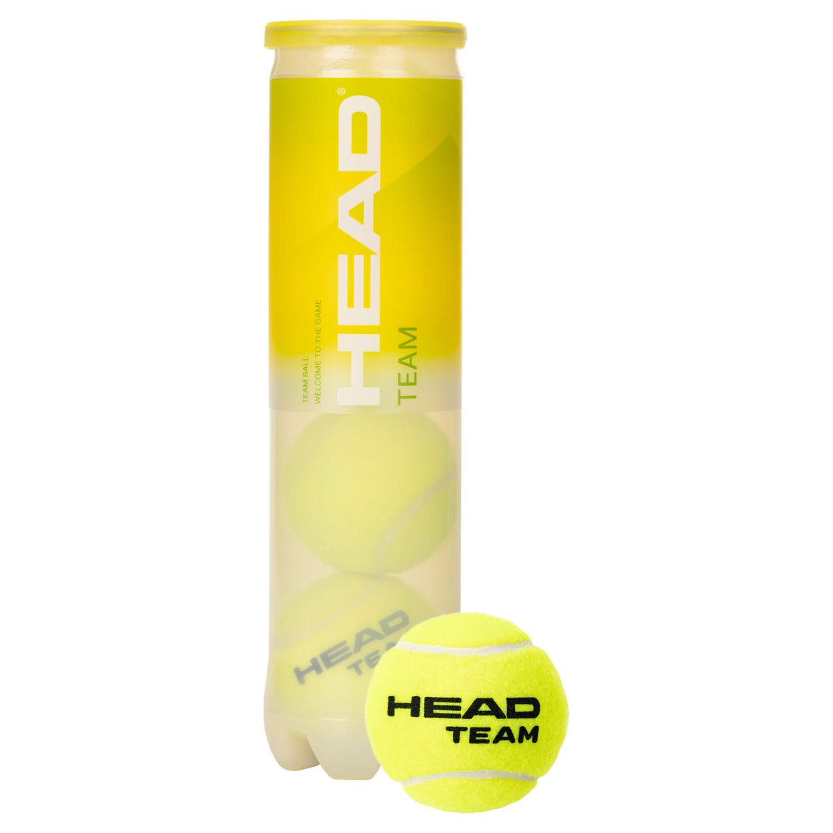 4B HEAD TEAM